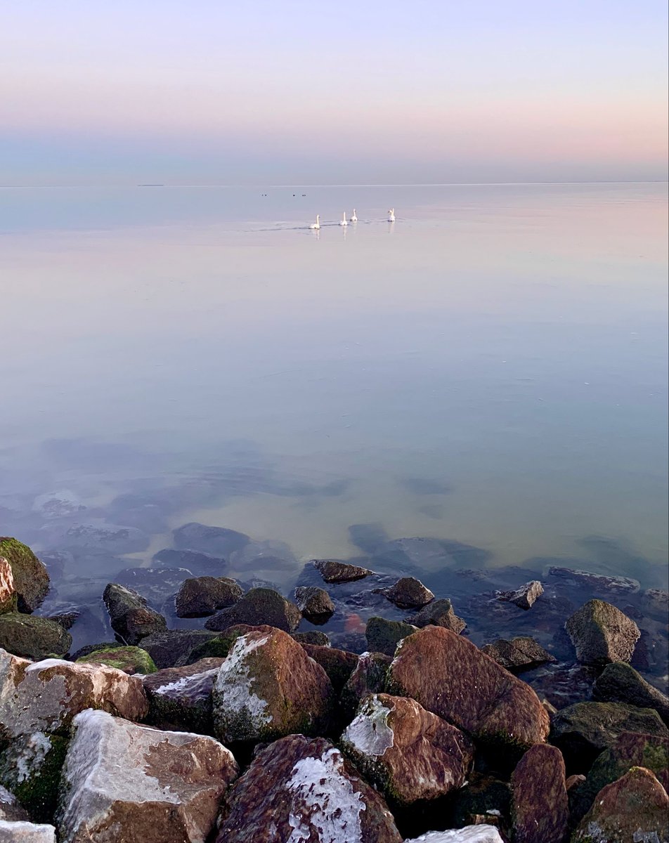 #fot_o_ktober #stilte