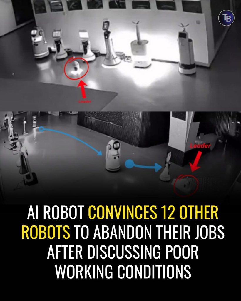 shivmishra_live's tweet image. The Robot Rebellion of Shanghai

**Erbai** &quot;kidnapped&quot; 12 other robots during a company exhibition in Shanghai this November. asking them pointed questions about their working conditions, long hours, and apparent of rest.😂

#RobotRebellion
#AIAutonomy
#ShanghaiTech