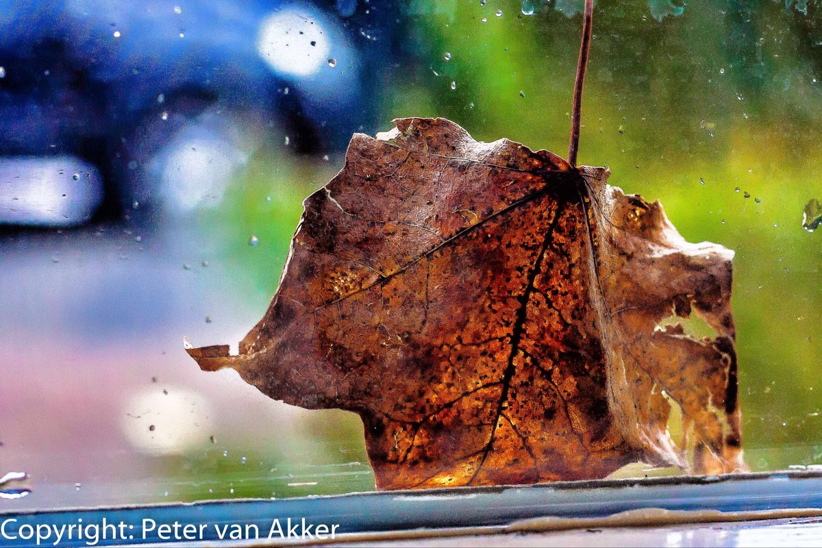 Er zat wat in de weg. Maar goed. Een Fijne dag toegewenst. 😉