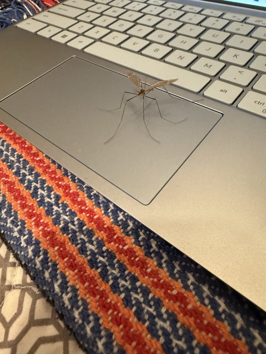 dude are u done yet I need my computer back