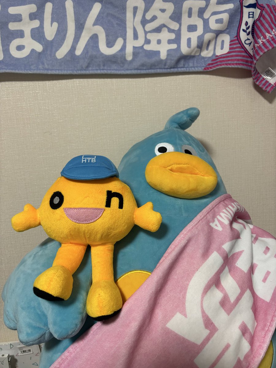 ☆*⭐︎(⁎ᴗ ᴗ⁎)⭐︎*☆です プーパパ◢͟￨⁴⁶ on X