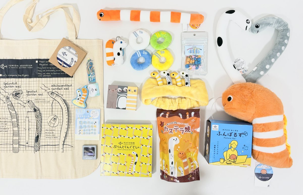 そこらじゅうにチンアナゴ 開催中✨ 館内ショップでは、新商品を含む