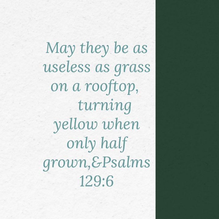 godfirst_31's tweet photo. May they be as useless as grass on a rooftop, turning yellow when only half grown,-Psalms 129:6 https://t.co/Wk3w2HVJJe
