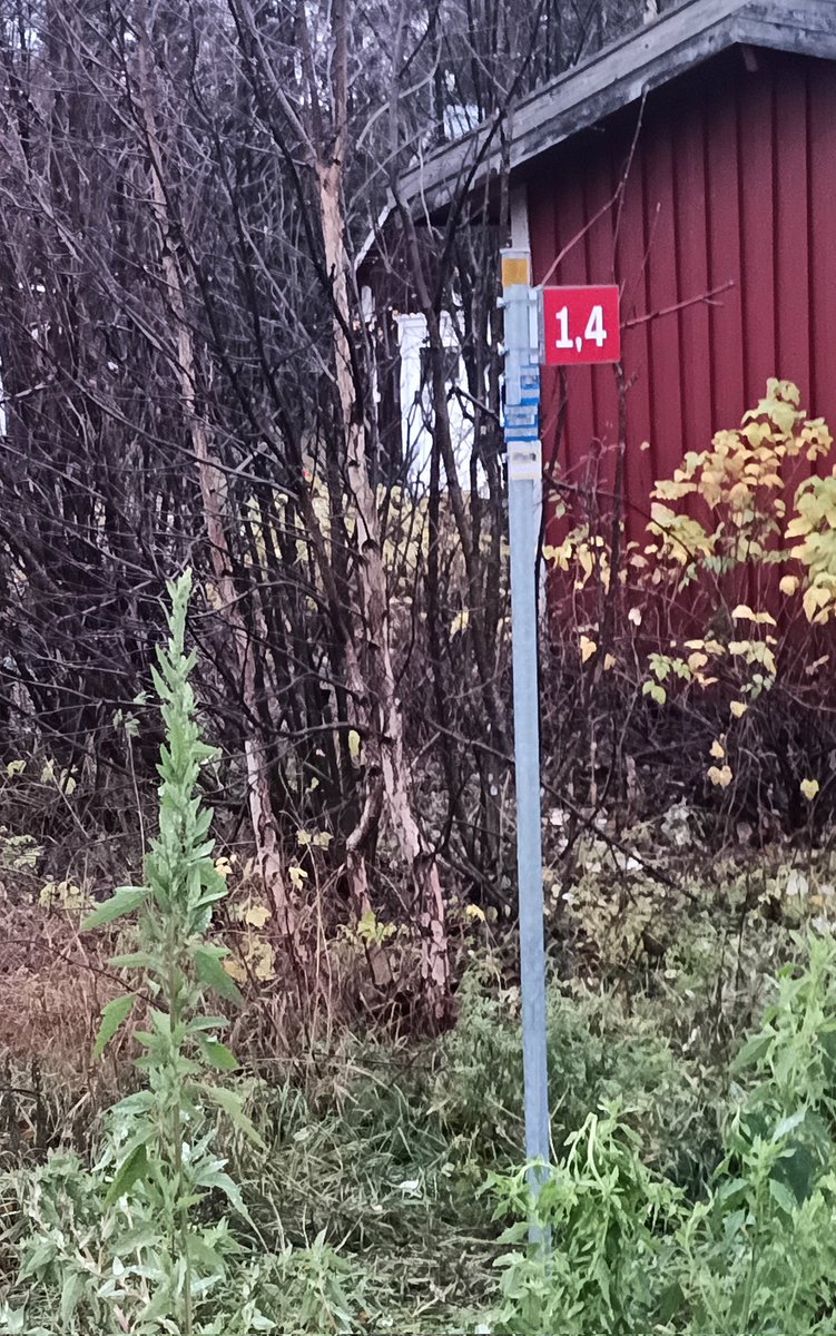 Gammal Nordisk kombination 🇸🇪 🇫🇮 🇳🇴 tweet media