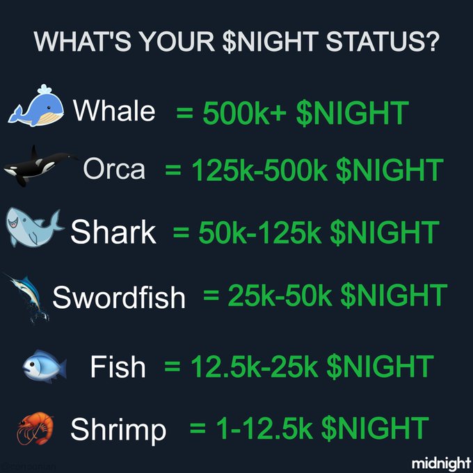 MinswapIntern's tweet image. What’s your $NIGHT balance looking like?