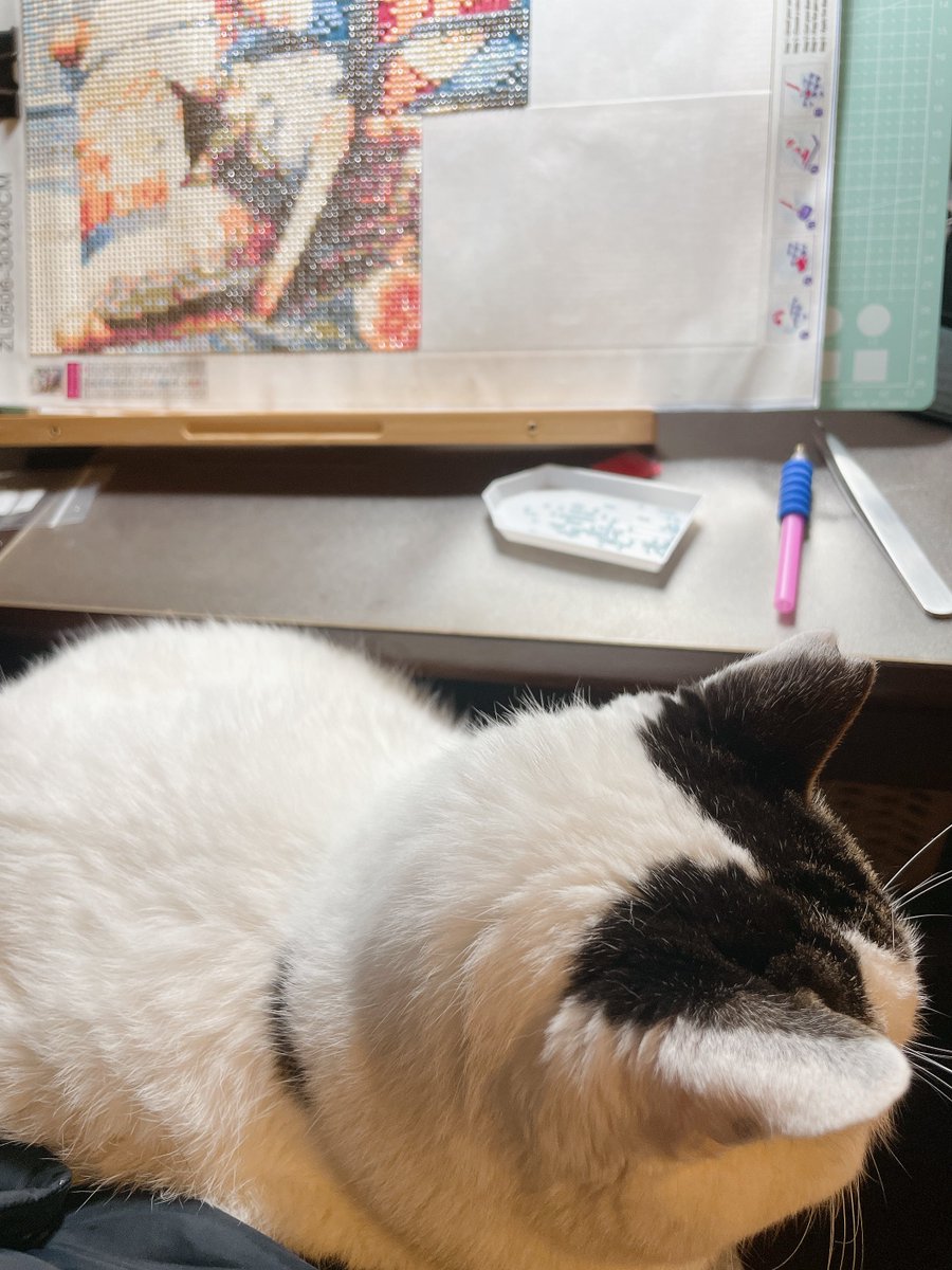 ✱つむぎ様のお世話係✱ on X