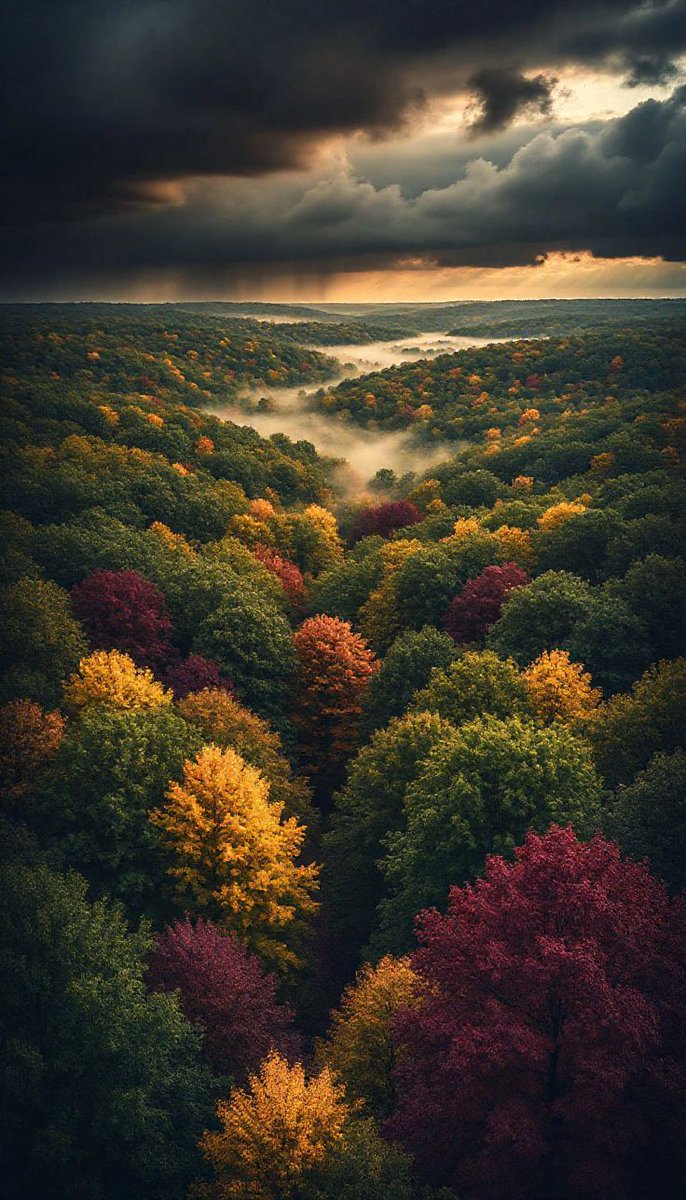 SAGE🌿 (@sagy720) on Twitter photo 