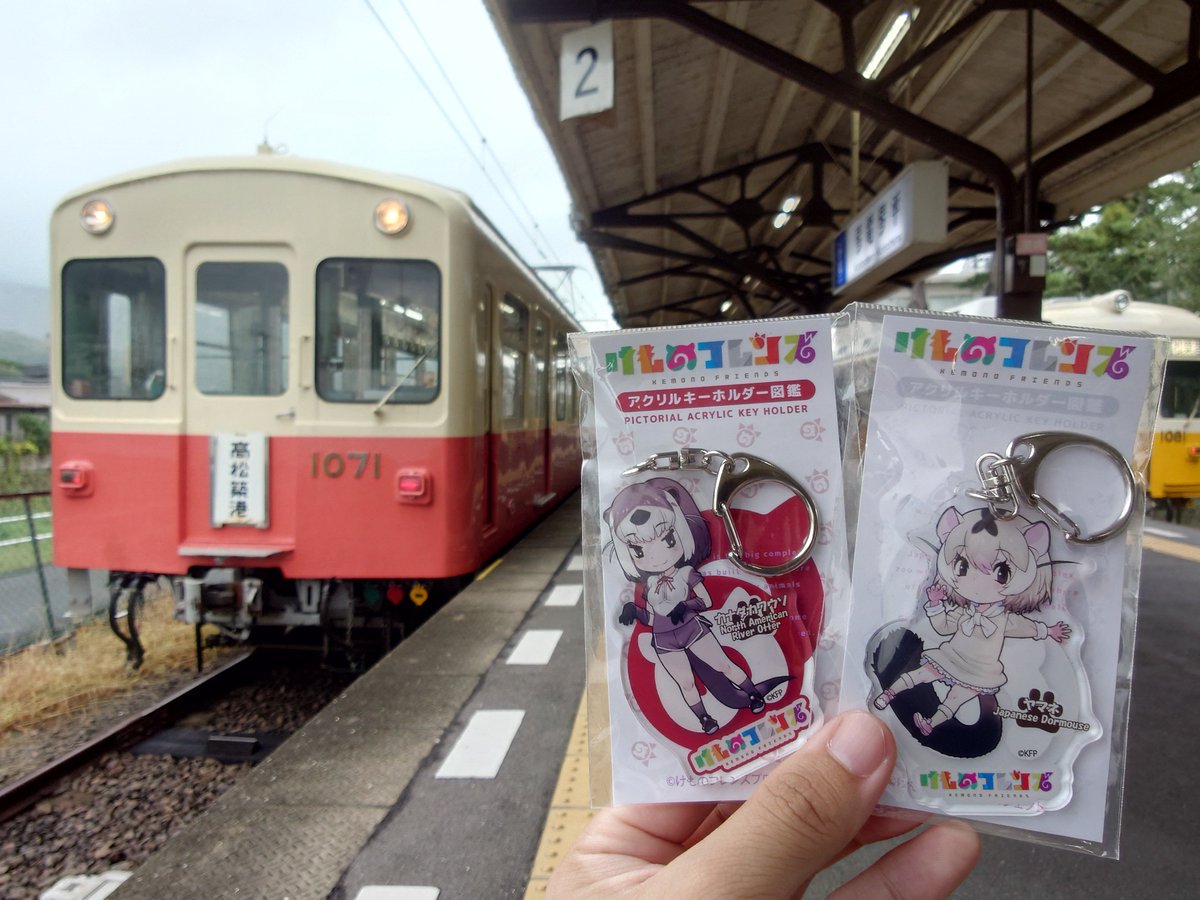 ☆ぴょんこ☆ AZONE INTERNATIONAL::えっくす☆きゅーと::商品詳細