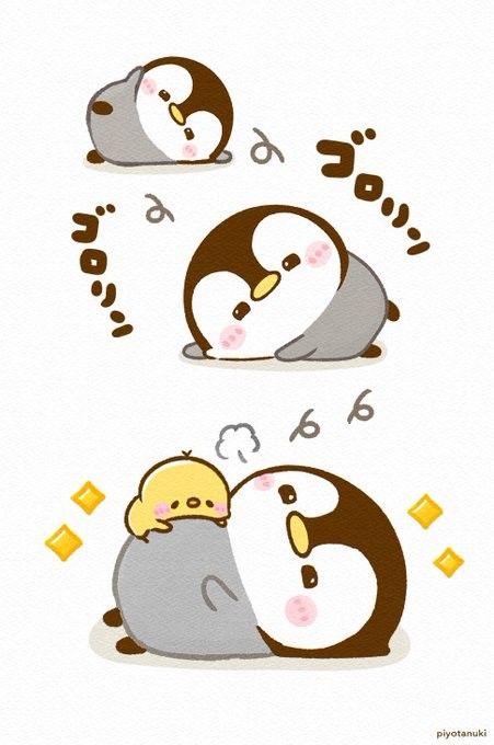 ■[Y142]namaquana ナマクアナ　現地球　ヤマト運輸 【多肉植物　Brunsvigia　ブルンスヴィギア】 ギアナ高地に生息する独自の生物には不思議がいっぱいだった｜旅人