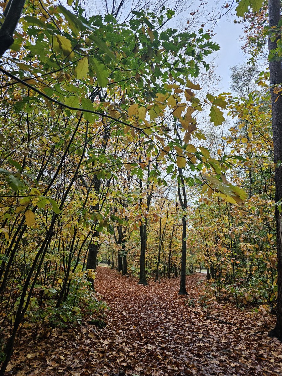 Goedemorgen,nat en winderig herfstdagje vandaag!☔️🌬#Bennekom <a href="/BuienRadarNL/">Buienradar</a> <a href="/_weernl/">Weer.nl</a> <a href="/weeronline/">Weeronline</a> <a href="/Weerplaza/">Weerplaza.nl</a> <a href="/pictureofNL/">Mooi Nederland 🇳🇱</a>