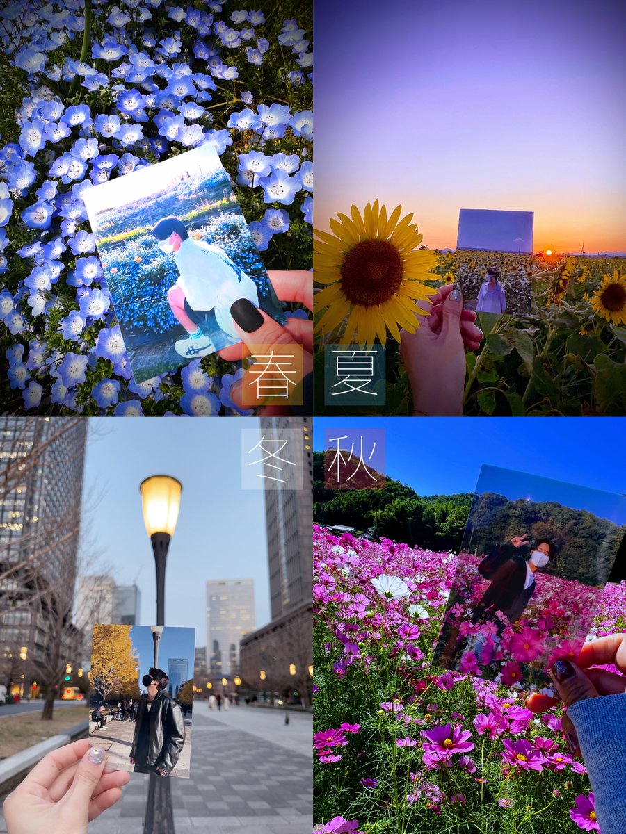 四季とりょうたくんとお花と
🌸⋆*🌻
⛄️⋆*🍂
 #HiroakiRyota