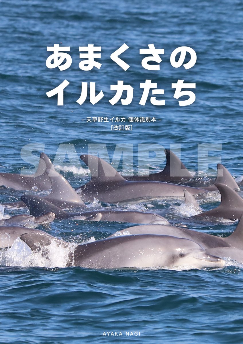 群青イルカ◆自己紹介参照 AYAKA NAGI (@ayaka__dolphin) / Posts / X