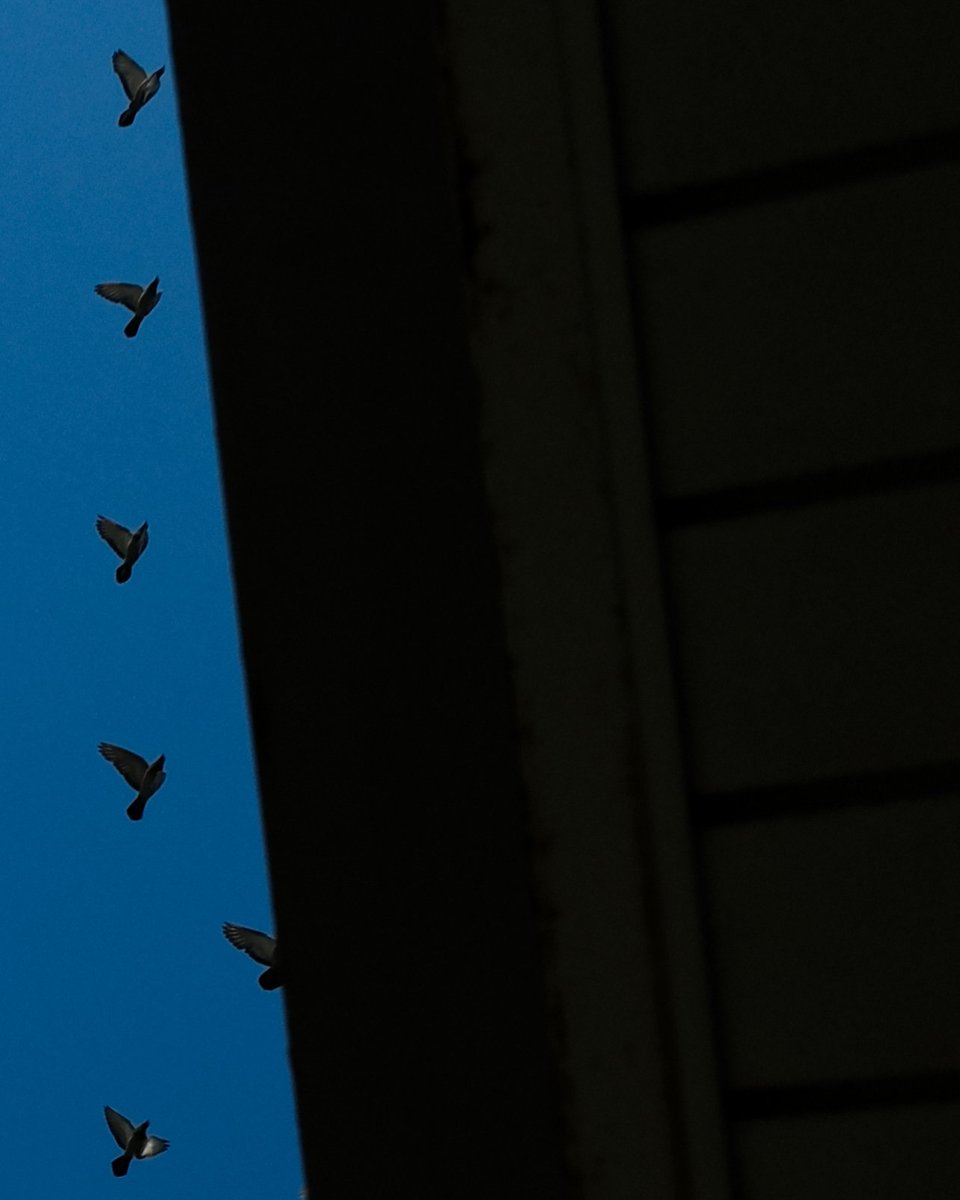 ヌ一べル (@obladi__blada) on Twitter photo 