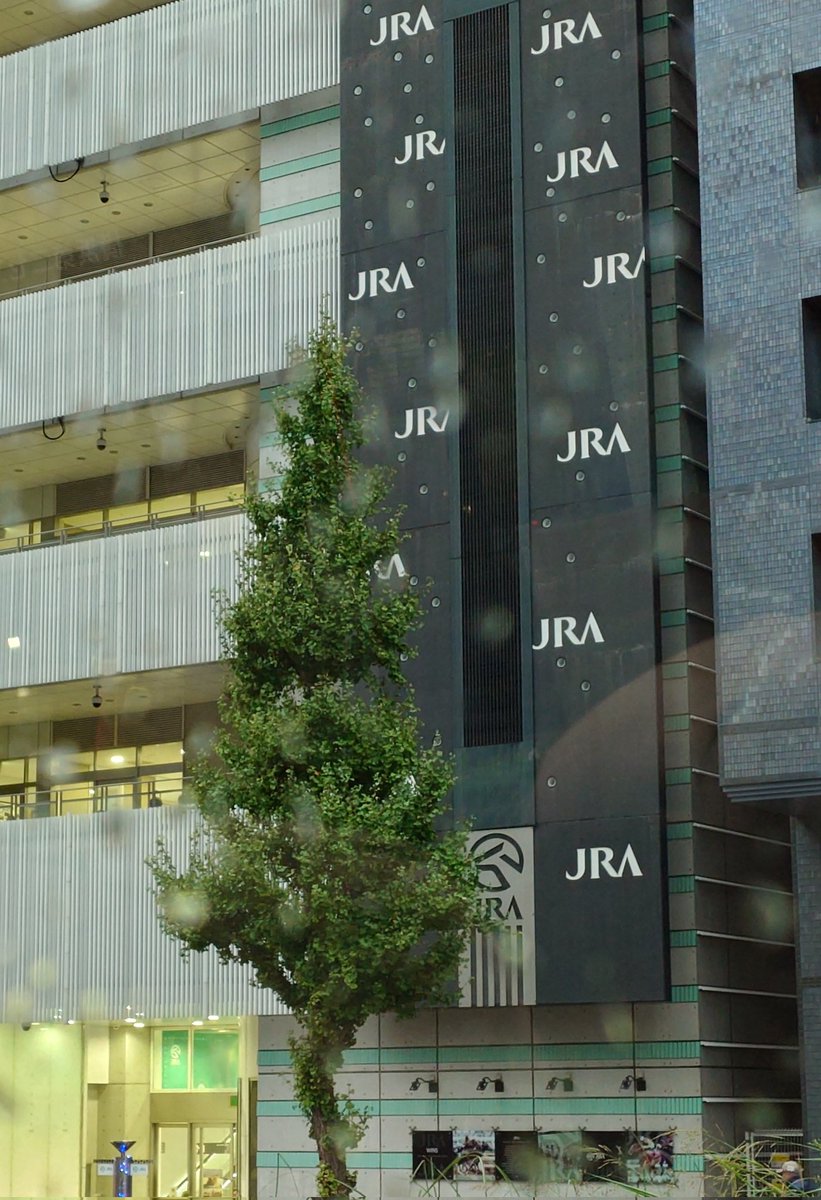 結婚式参列
いい式やった