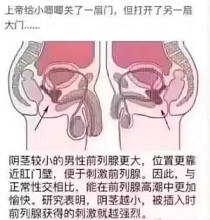 鸭BOT🔜备战高考 tweet media