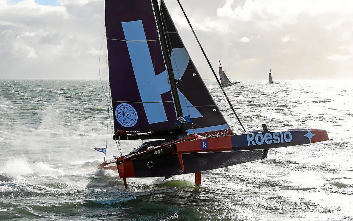 Trois chavirages en quelques heures sur la Transat Café l’Or : hécatombe en Ocean Fifty
➡️ go.letelegramme.fr/o49p