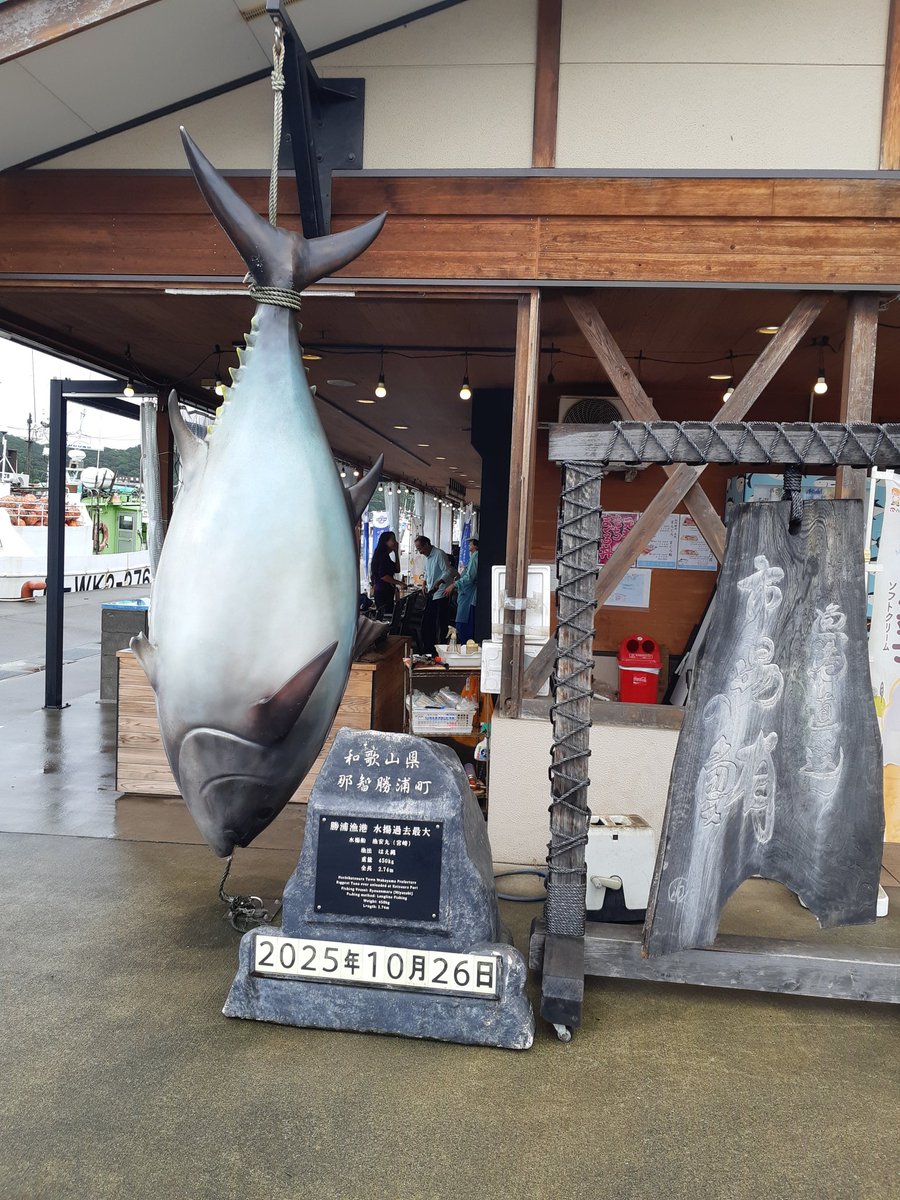 マグロの町に来てます。