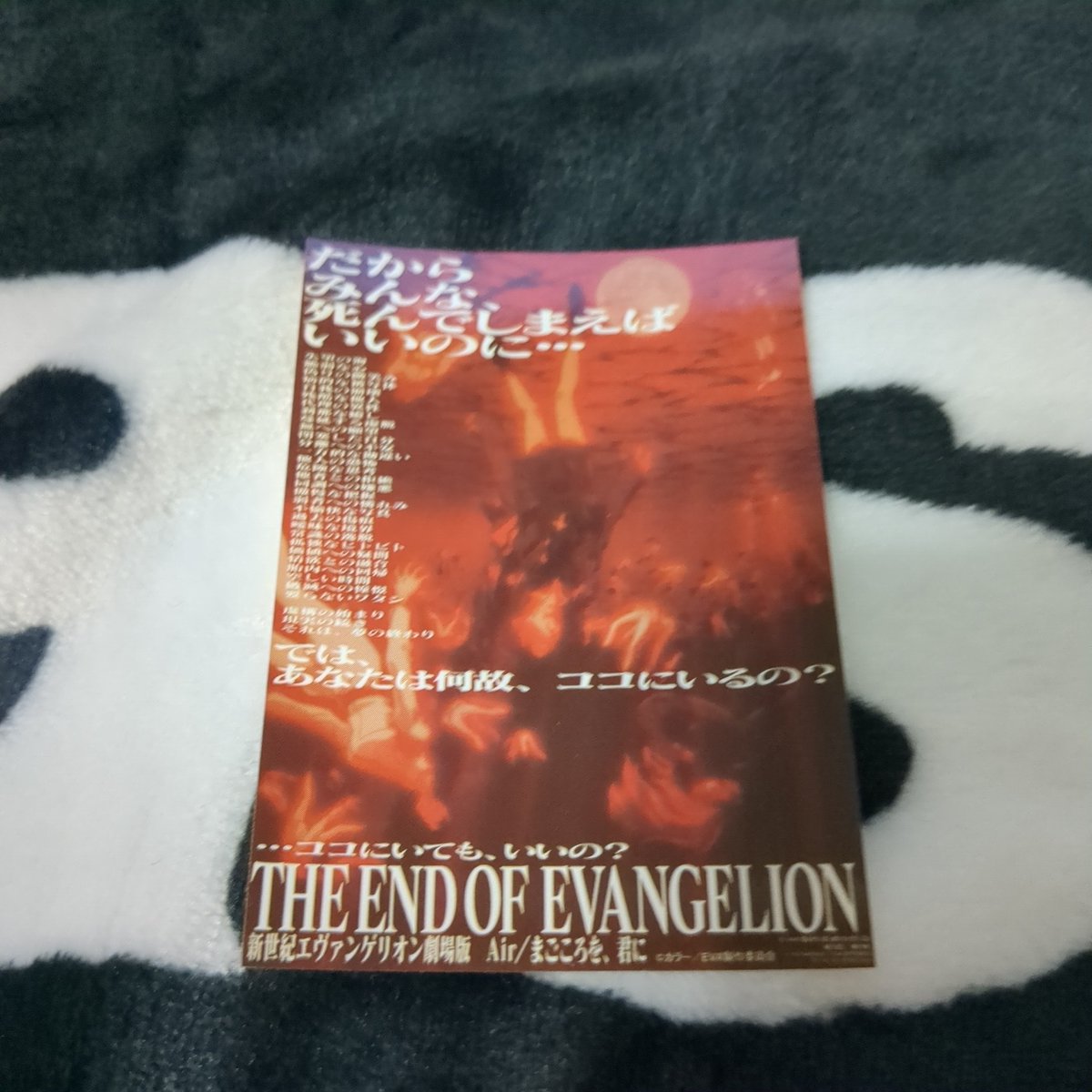 ✩.*˚新品未開封✩.*˚さようなら 全てのエヴァンゲリオン sddefault.jpg