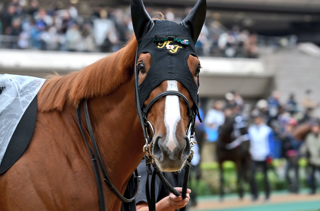 馬様 ブルクトーア (Burgtor) | 競走馬データ - netkeiba