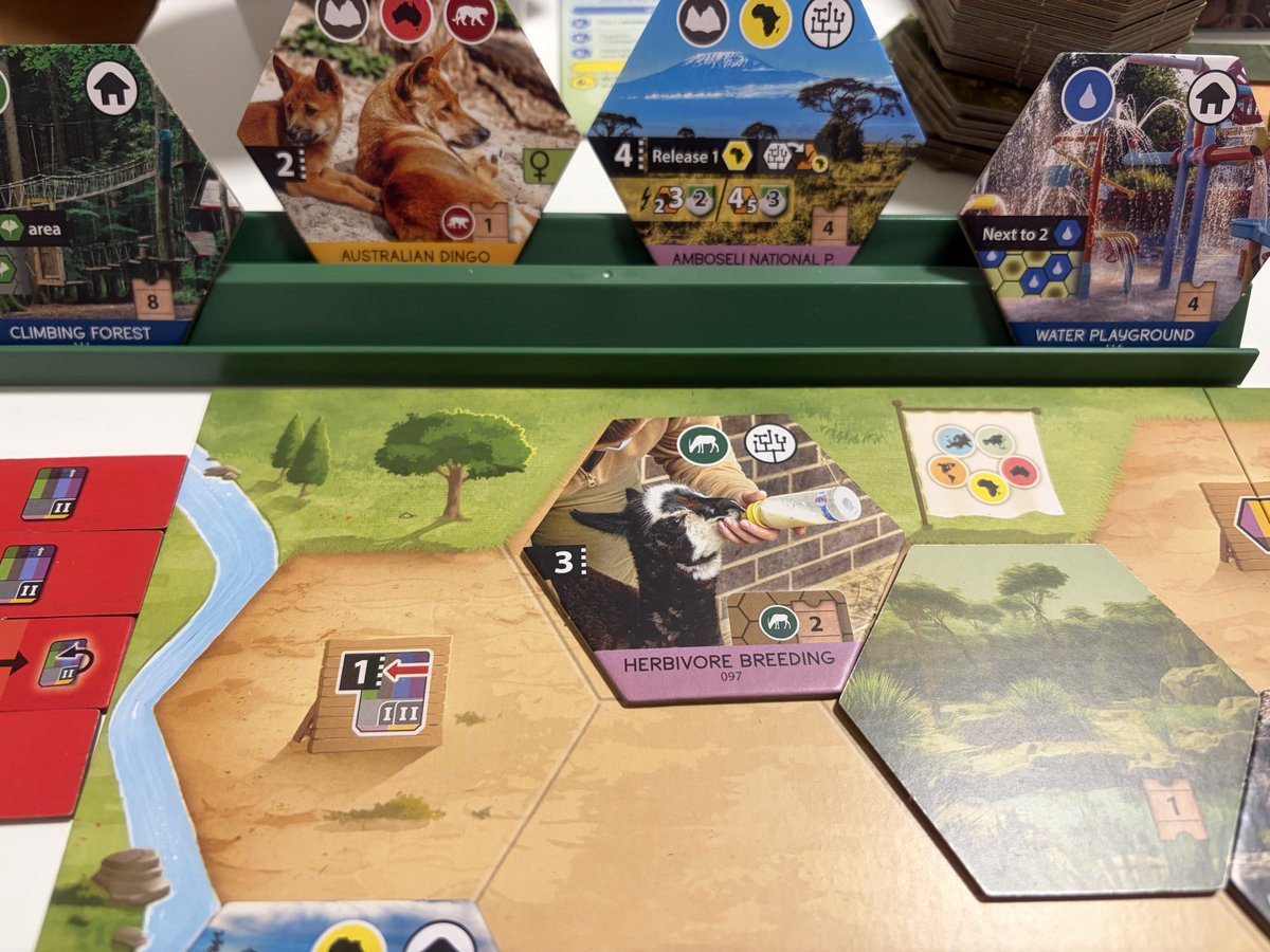 Sanctuary no es Ark Nova light. Es un juego de losetas tipo suburbia con el tema de Ark Nova por encima. Sí tiene muchos toques del juego original pero es una cosa distinta. La puntuación final se complica un poco. Es muy rápido de jugar. Me ha gustado 👌