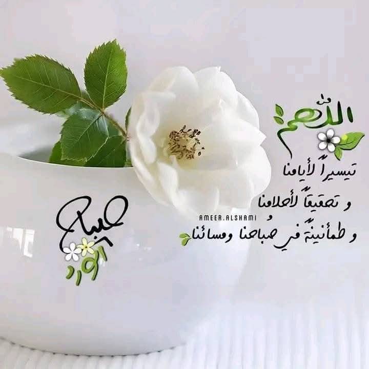 اللهم ارزقنا عينا لاترى إلا المحاسن 
وقلبا لا يسكنه إلا التسامح وعقلا لا يستذكر
 إلا الجميل وروحا لا يشغلها إلا رضاك 
اللهم أرزقنا ذكرك عند كل غفله وشكرك عند كل نعمه والصبر عند كل بلاء
🌹بحق الصلاة على رسول الله صلى الله عليه وسلم 🌹
اسعد الله صباحكم بكل خير وسعاده 🍒🌺🌺🍒🍒🌺