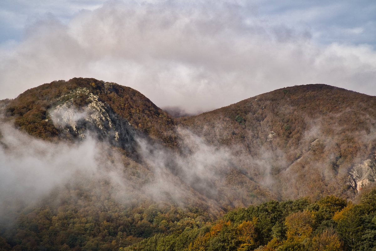 Miguel Angel Ciudad tweet media