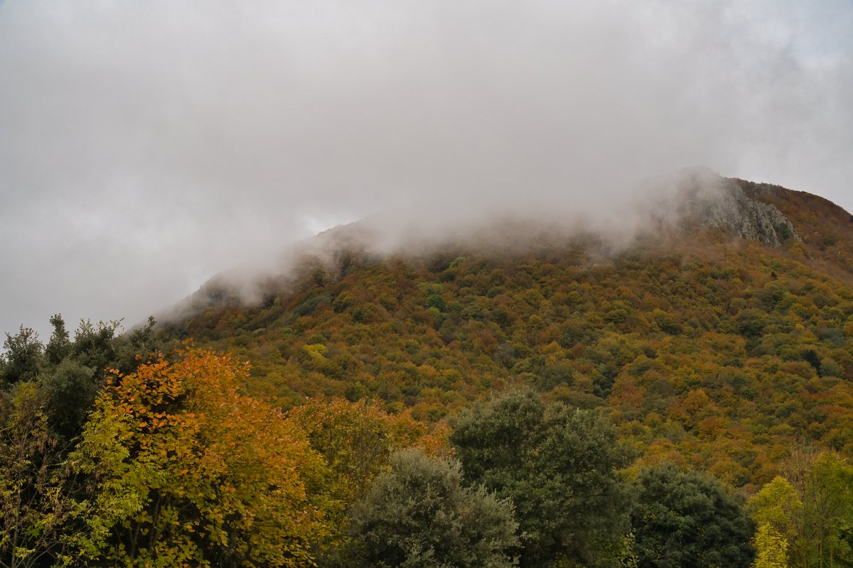 Miguel Angel Ciudad tweet media