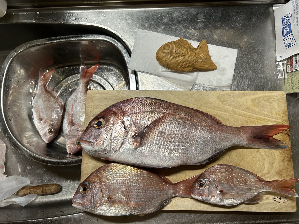 Tuyoshi (@QM6xqb8yGjV3Z7n) / Posts / X