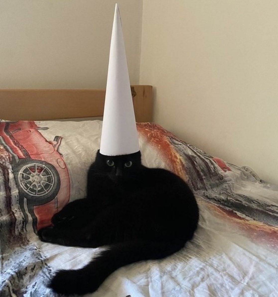 공짜 마술! 

효과가잇을진모르겟지만어쨋든공짜임