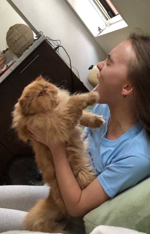 domdevalois's tweet photo. Thought I was untouchable… then came this little menace. https://t.co/2JM6CRD9pi