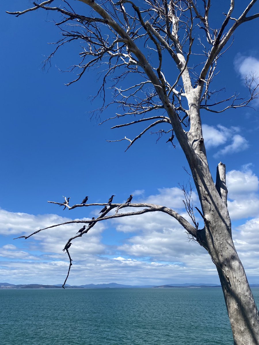 Adam Holmes tweet media