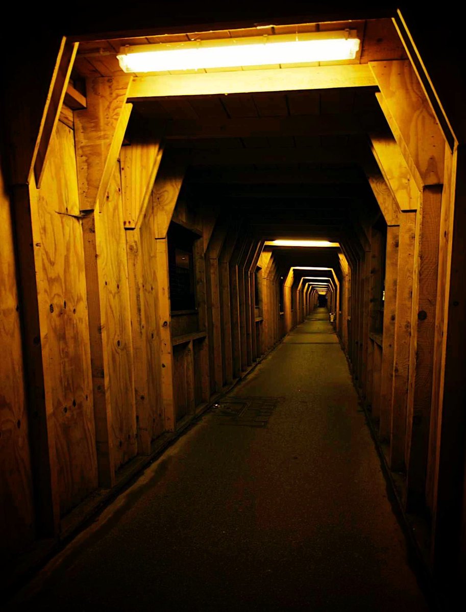 nihilisolipsism's tweet image. All the years i fought you, 
wanted to get rid of you, 
wanted to belong, 
wanted to shine, like others do - 
but now i realise 
i’m nothing 
without you.
My deepest darkness, 
i’m in love with you.

#art #prosa #poetry #darkness #philosophy #photo #urbanlife #streetphoto