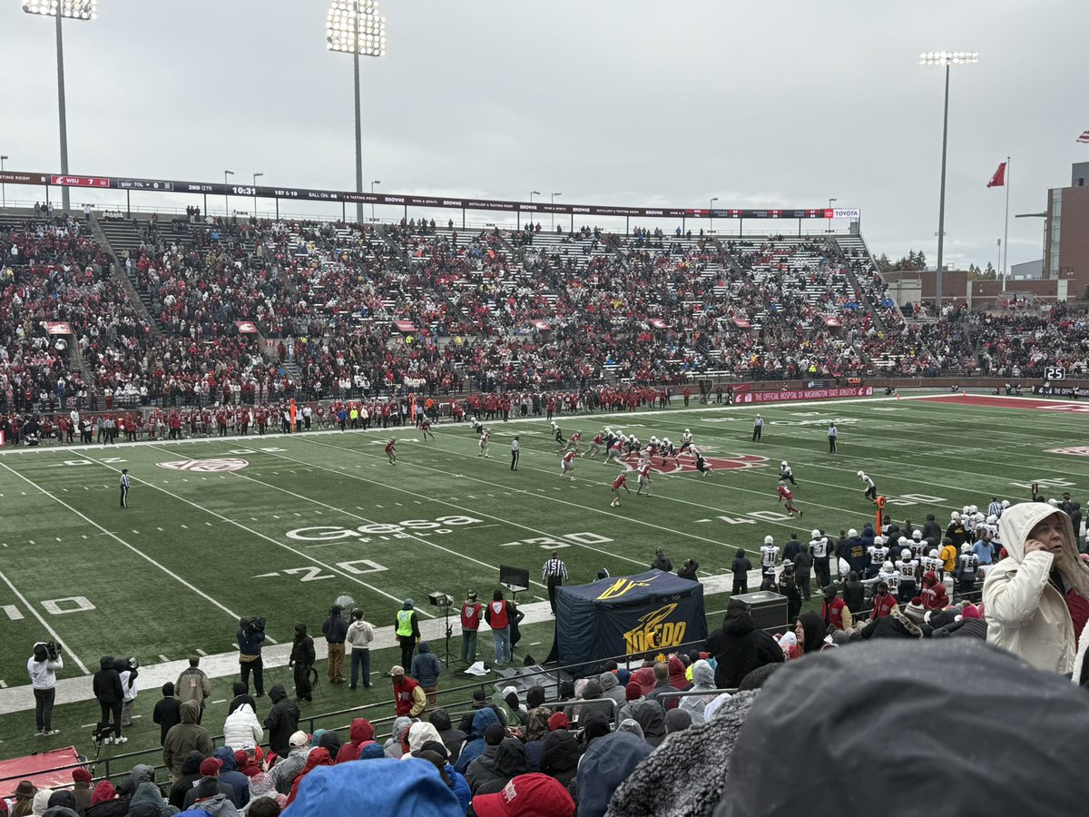 mari leavitt tweet media