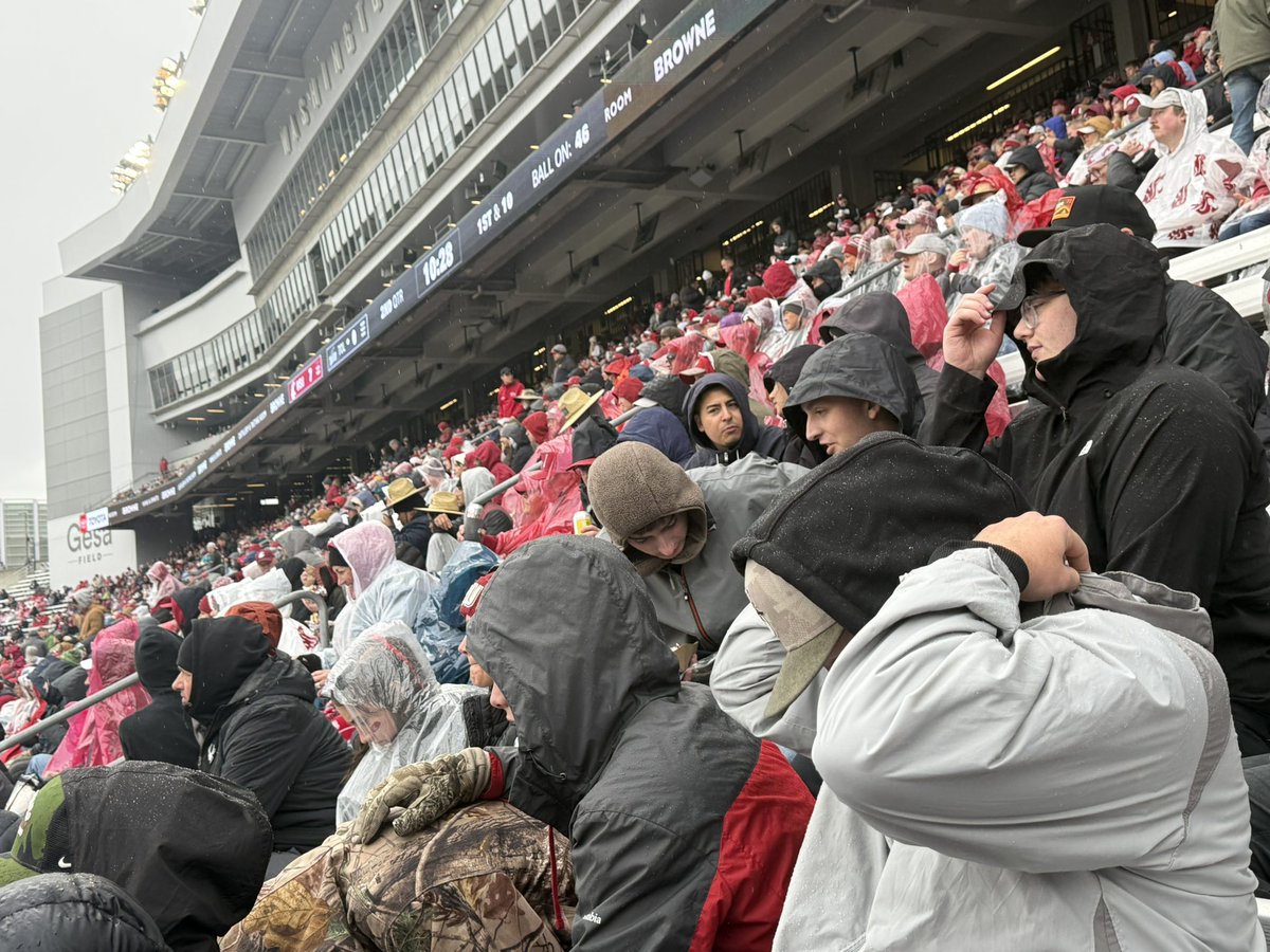 mari leavitt tweet media