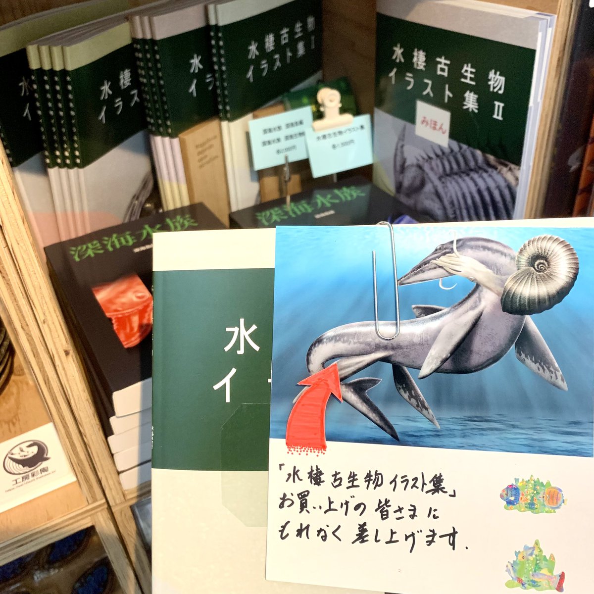 さかなページ SAKANA BOOKS（サカナブックス）｜サカナに特化した本屋