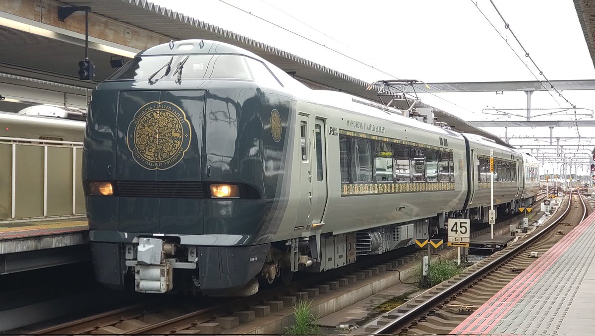 特急こだま　サボ　142 特急こだま サボ 142