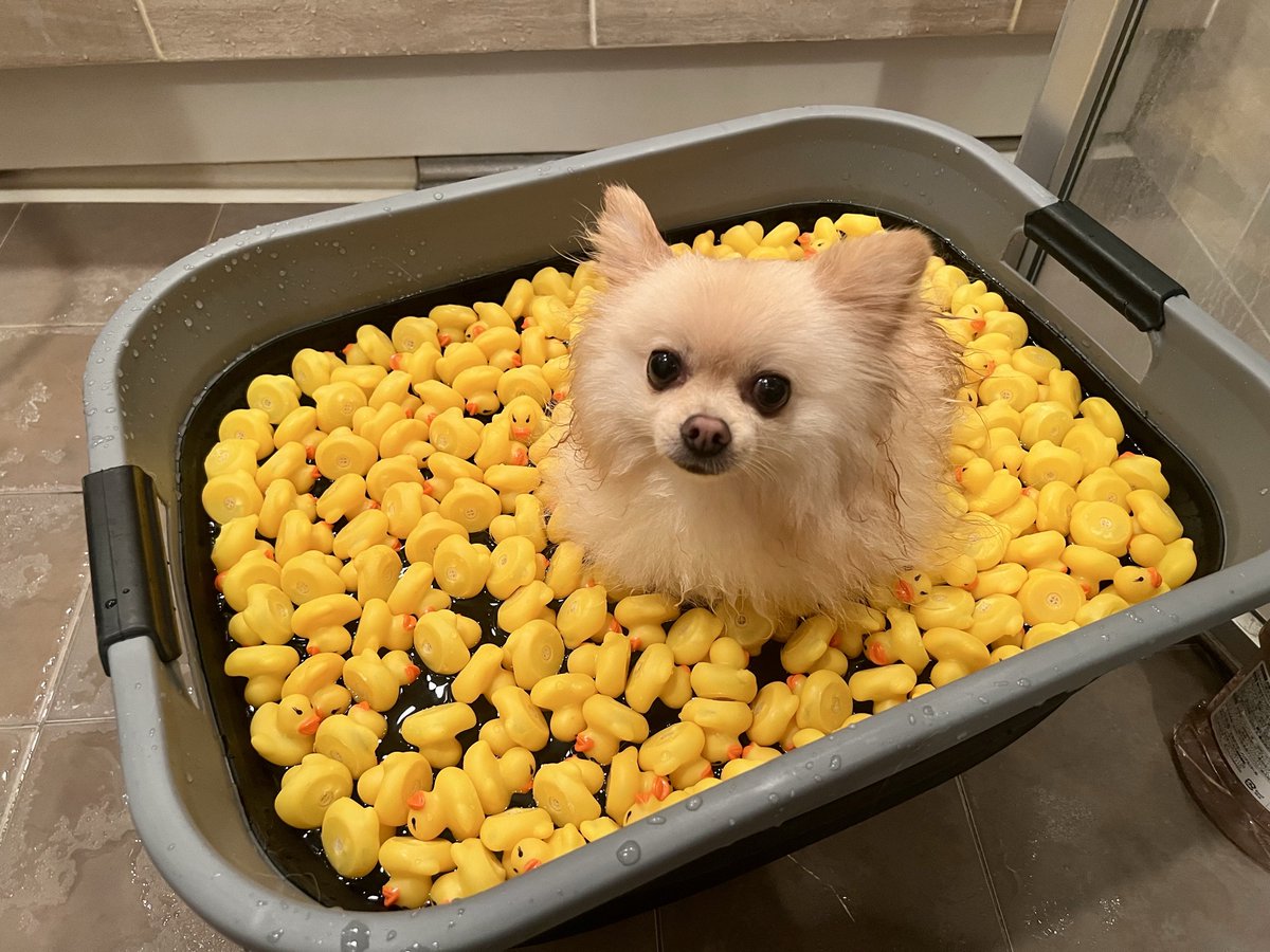 のぶの (@nobuno88) / Posts / X