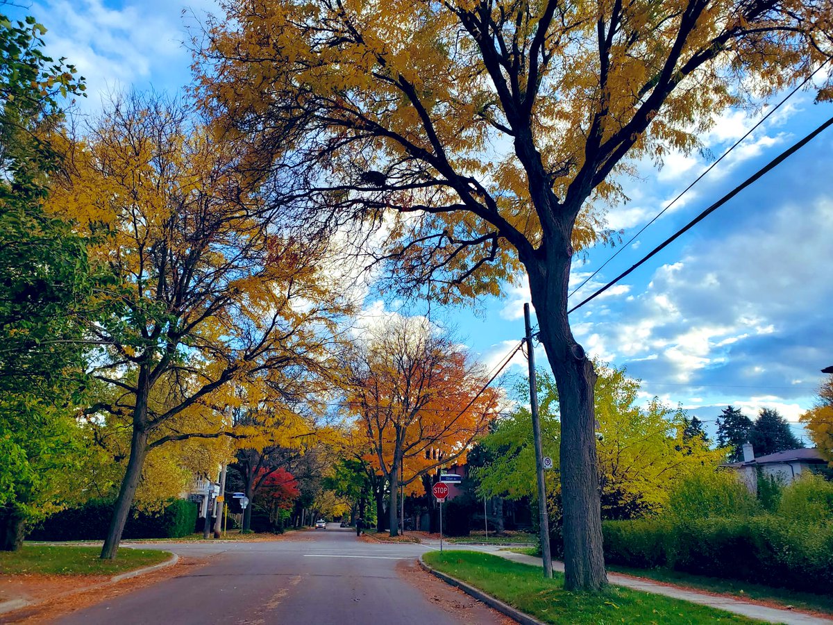 넓은 원을
그리며 나는
살아가네 그원은
세상속에서
점점 넓어져 가네

나는 아마도
마지막 원을 완성
하지 못할 것이지만
그 일에
내 온 존재를
바친다네

/넓어지는 원 - 라이너 마리아 릴케