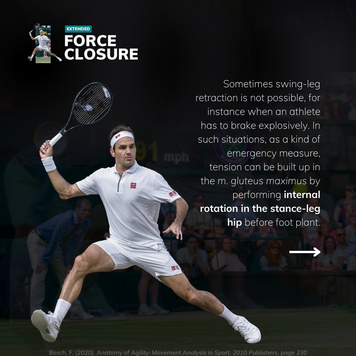 Frans Bosch Systems tweet media