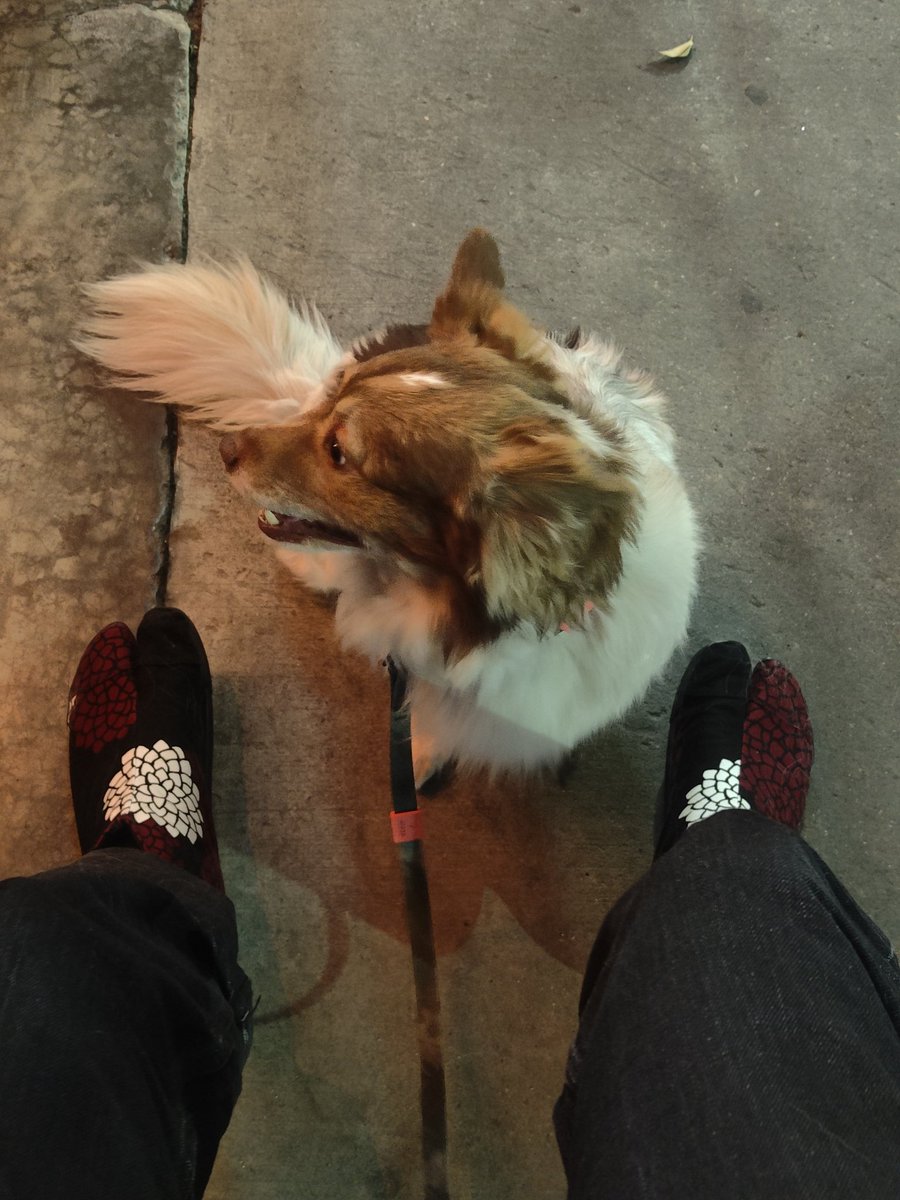 Кто-то может объяснить что-нибудь я ничего не понимаю что происходит