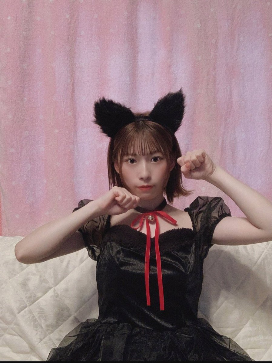 goshow46's tweet image. 🐱 #meiblog