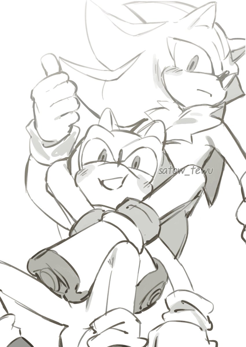 satowte's tweet image. Sonic always wins even when losing 
#sonadow