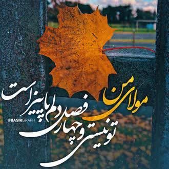 هر برگ که می‌افتد، یادم می‌اندازد که فصل‌ها می‌گذرند،
اما هنوز پاییزِ دلتنگیِ نبودنت پابرجاست…
یا صاحب‌الزمان ، بی‌تو همه‌ی فصل‌ها خزان‌اند 🍁

#اللهم_عجل_لولیک_الفرج
 
#ياايهاالعزيز 
#سلام_امام_زمانم
#قاسم_بن_الحسن