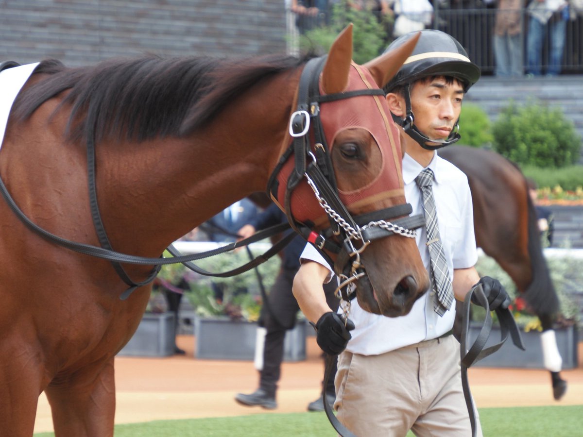 馬のある静物 サタデーオークション on X