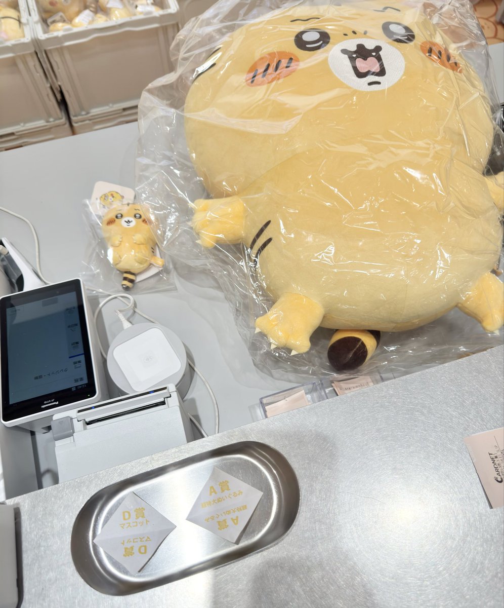 めめ°@アイコン迷子 (@MeMe__3355) / Posts / X