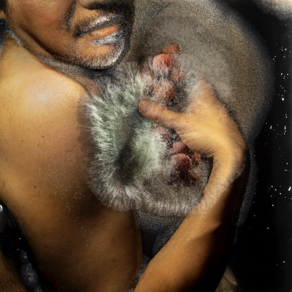 お願いします！！リポスト希望です！！
個展の告知です！！
いよいよ来週10月31日（金）からスタートです！！

「MERISIS」青木大祐写真展
今回の個展では異端の画家カラヴァッジョの作品をモチーフに、カビを纏ったセルフィーの新作と過去作を併せた過去最大規模の展示となります。