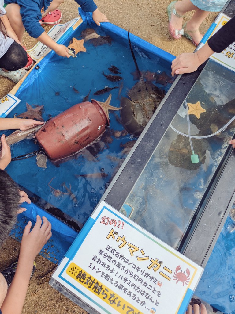 おさかなさん専用ページ なな on X