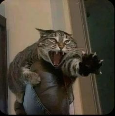 HelixM31's tweet image. Turning on collision only to immediately see mina tap out