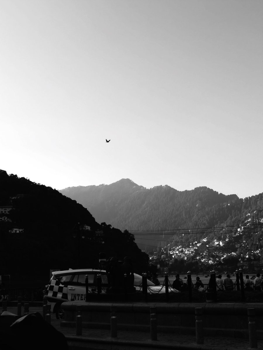 In a world full of color, I find peace in black &amp; white🌸

#realmeGT8Pro #realmexRICOHGR #4YearsInOneSnap #SnapbyNoRules