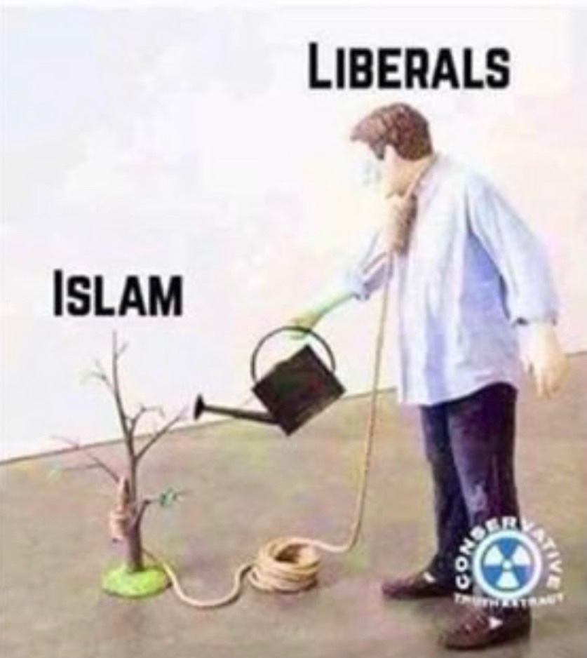 Why are liberals this DUMB??